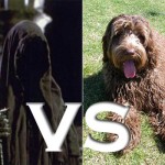 The Nazgul = Epic Fail