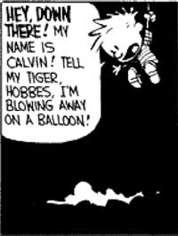 calvin_yellpanel