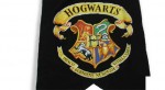 Hogwarts is a Terrible School