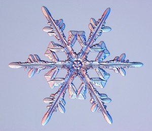 Snowflakes are examples of weakly emergent phenomena