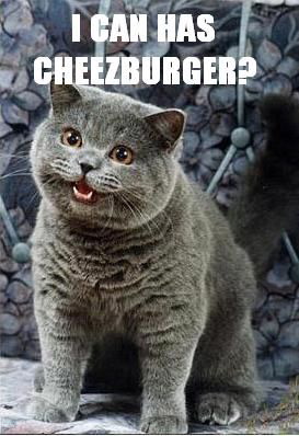 I Can Has Cheezburger: The Untold Story