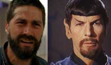 The mirror universe theory: believe it!