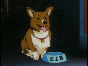 ein03