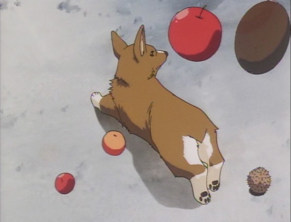 Dog with Descending Fruit:  A Still Life
