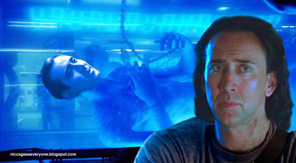 Quanta of Cage: Standard Deviation of Nicolas Cage Movies' IMDB Ratings