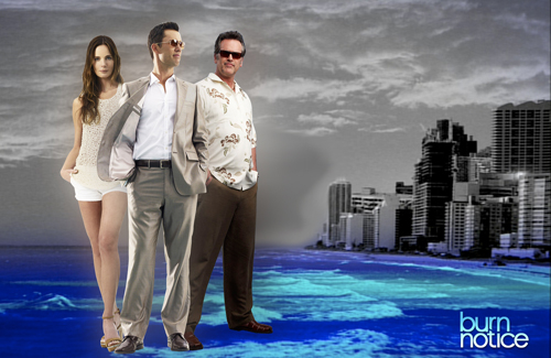 USA v. USA Network: When they watch Burn Notice, the terrorists win.