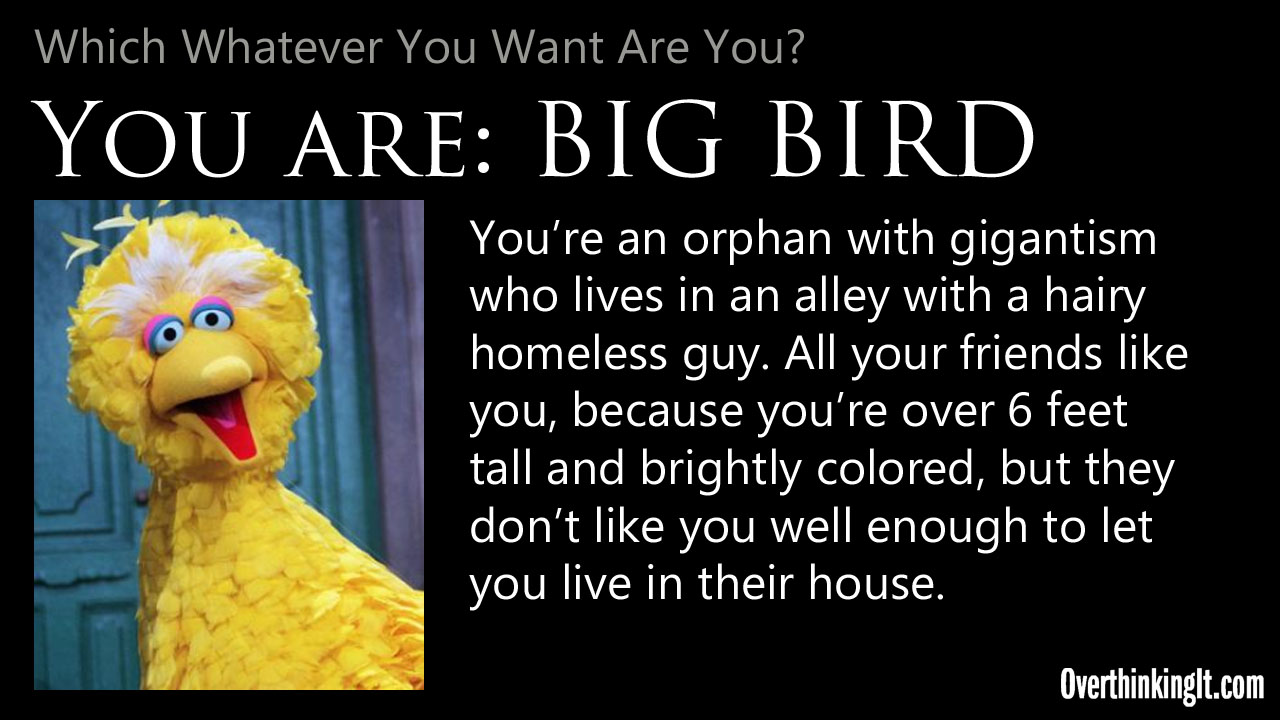 You Are Big Bird