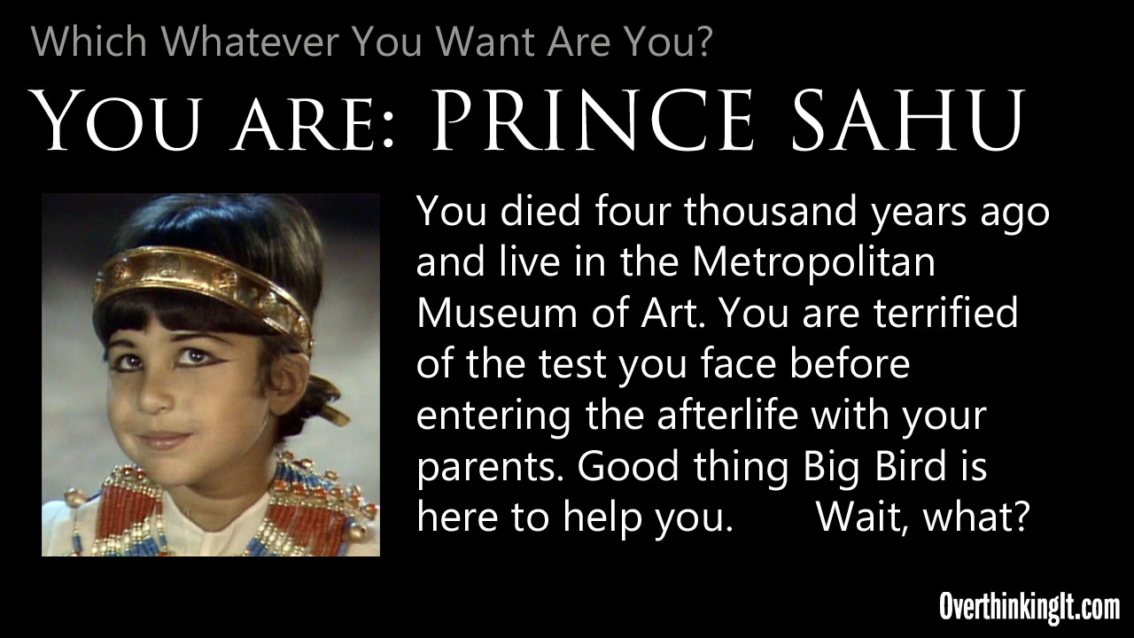 You Are Prince Sahu