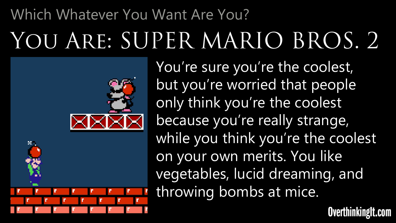 You Are Super Mario Bros 2