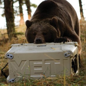 Yeti Cooler