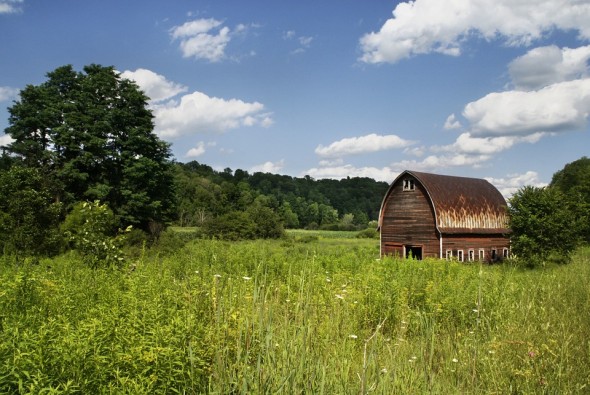 Upon the Nature of the Love Shack: Actual Shack