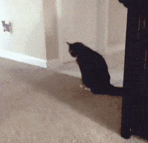 GIF of a cat dragging its butt across the floor, with rotoscoped sparks and smoke emerging from the point of contact.