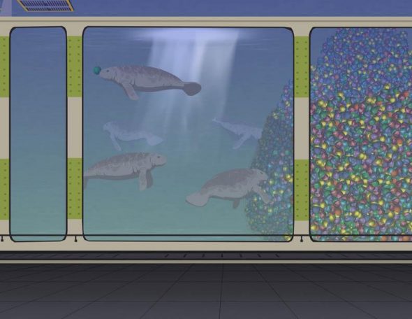 Manateessouthpark