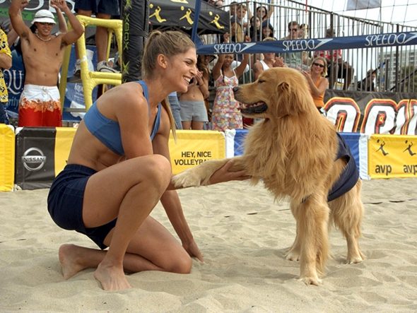 Air_Bud_5_on_the_sand